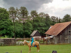 Koněhrádky v Rohozné