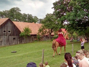 Koněhrádky v Rohozné