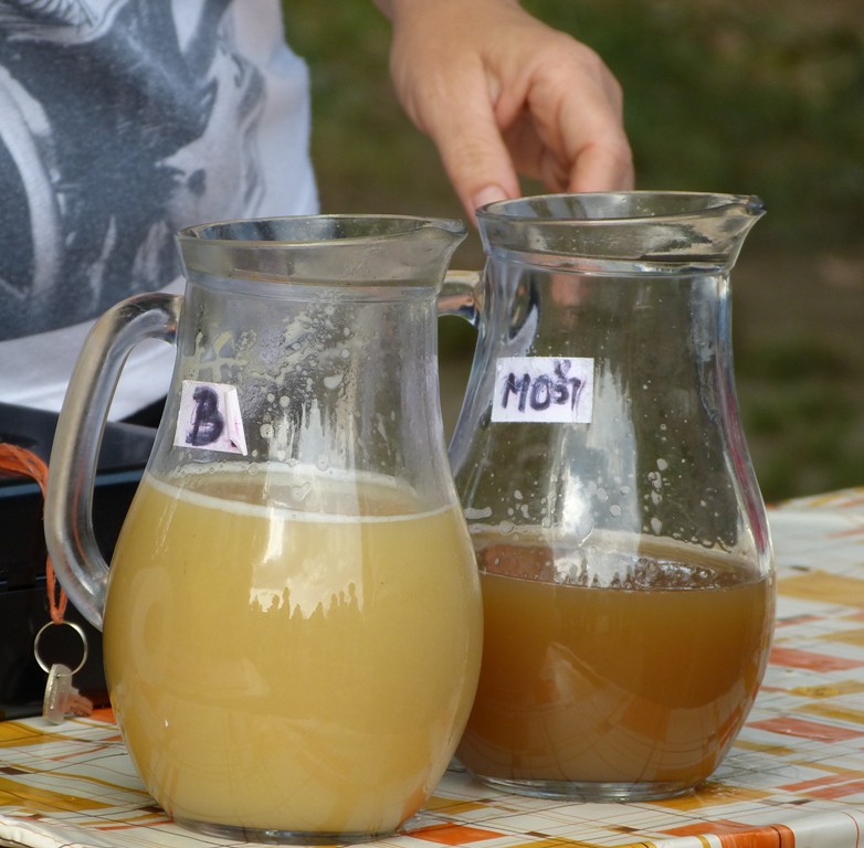Biozemědělský den v Sasově
