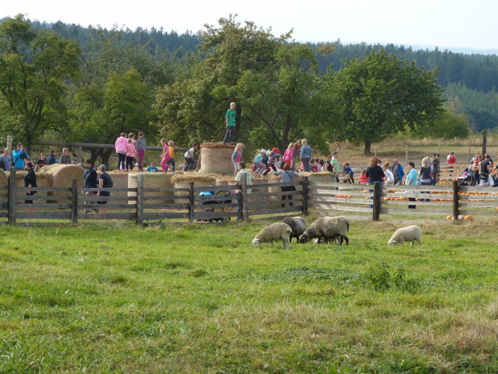 Dýňový svět 2016
