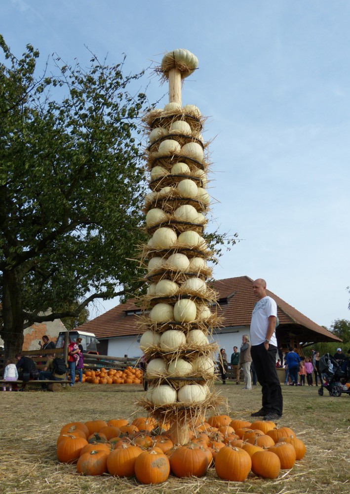 Dýňový svět 2016
