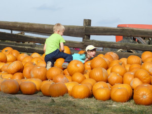 Dýňový svět 2016