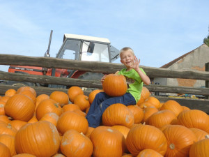 Dýňový svět 2016