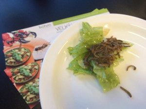 Ochutnávka hmyzích specialit