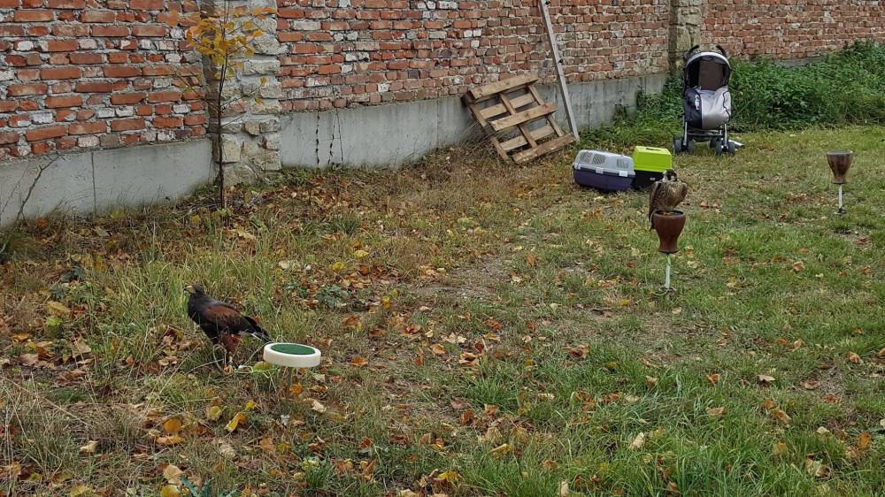 Dýňobraní v Zámecké stáji Plandry