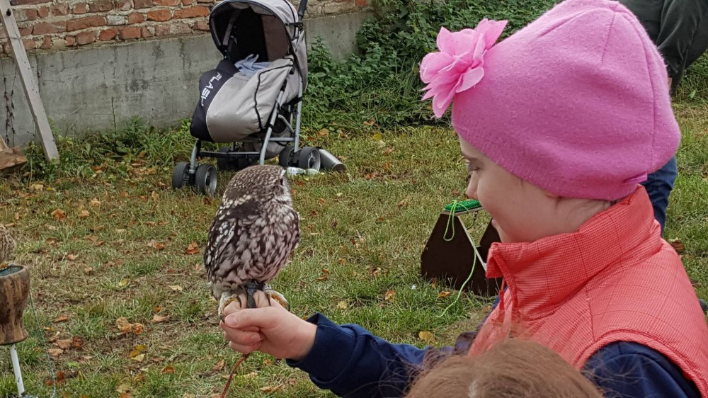 Dýňobraní v Zámecké stáji Plandry