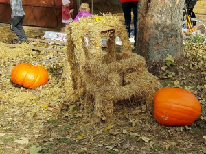 Dýňobraní v Zámecké stáji Plandry