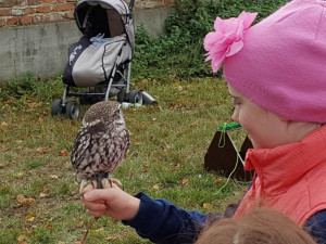 Dýňobraní v Zámecké stáji Plandry