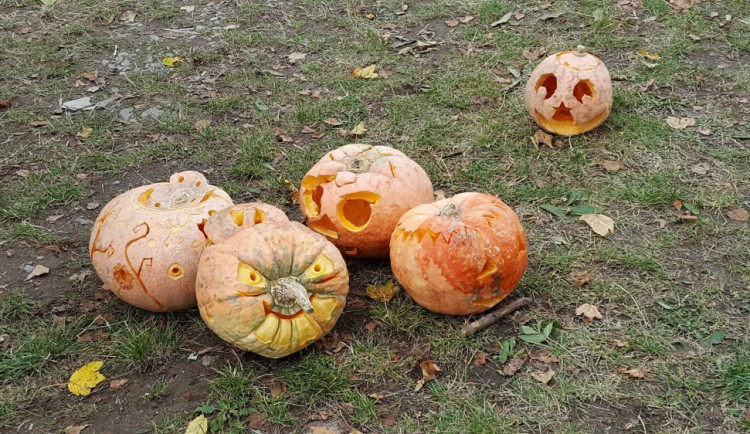 Dýňobraní v Zámecké stáji Plandry