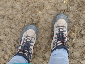 Pístovské mokřady + MČR v offroad trialu