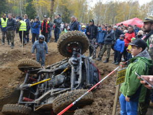 Pístovské mokřady 2016