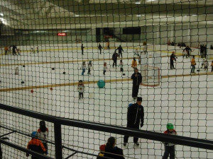Kampaň Týden hokeje na Horáckém zimním stadionu