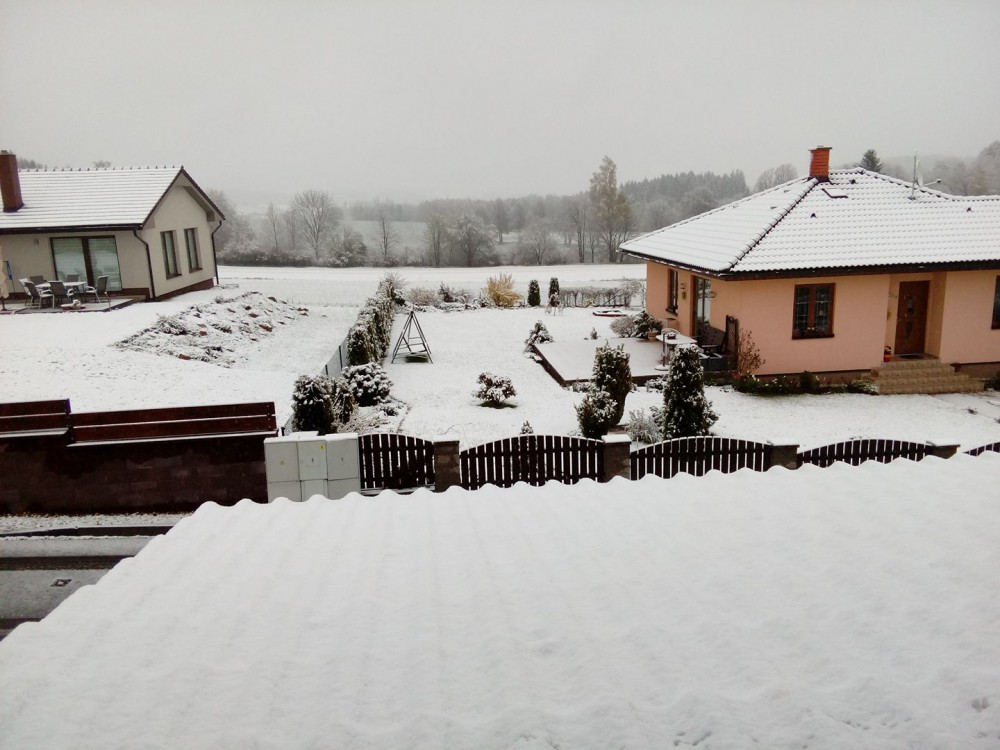 Růžená