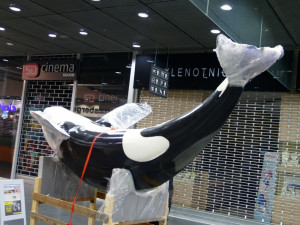 Z instalace výstavy 