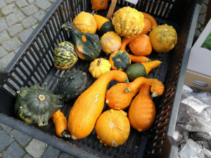 Dožínky - Den zemědělců a potravinářů v Jihlavě