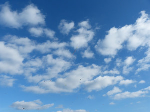 Drakiáda na letišti v Henčově