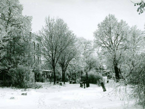 Starý jihlavský hřbitov u svatého Ducha