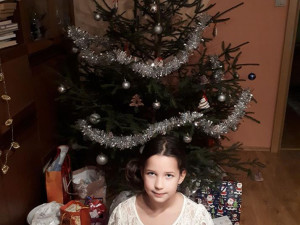 Vánoční stromečky 2017