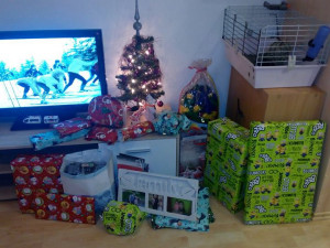 Vánoční stromečky 2017