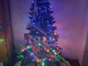 Vánoční stromečky 2017