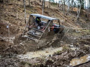 Jarní Pístovské mokřady 2018