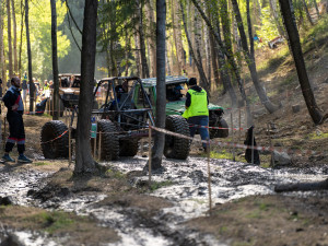 Pístovské mokřady 2018