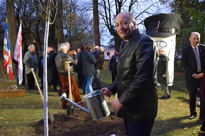 Vysazení Lípy republiky v Jihlavě