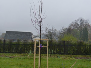 Oslavy stého výročí republiky v Dolní Cerekvi