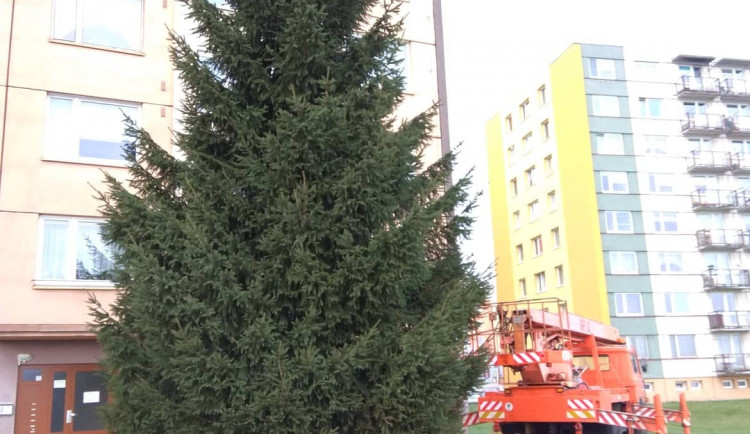 Vánoční stromeček v Jihlavě