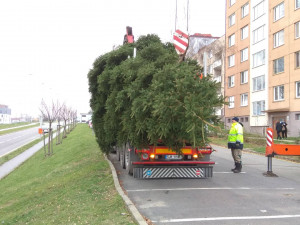 Vánoční stromeček v Jihlavě