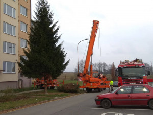 Vánoční stromeček v Jihlavě