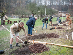 Výsadba stromů v jihlavské zoo