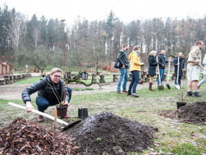 Výsadba stromů v jihlavské zoo