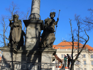 Kácení lip na Masarykově náměstí