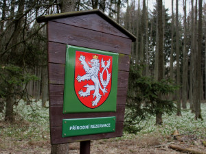 Bleduliště Jechovec