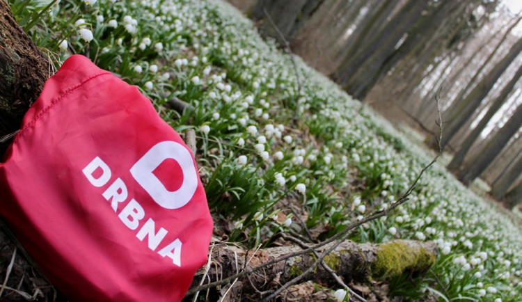 Bleduliště Jechovec