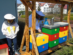 Včely na střeše Cityparku