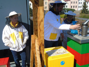 Včely na střeše Cityparku