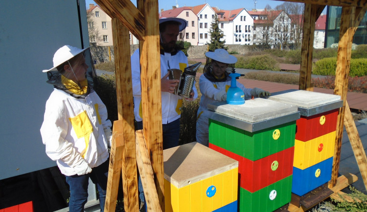 Včely na střeše Cityparku