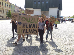 Jihlavští studenti demonstrují za lepší ochranu klimatu