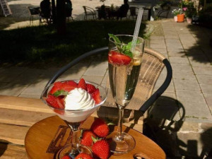 Zdeňka Procházková