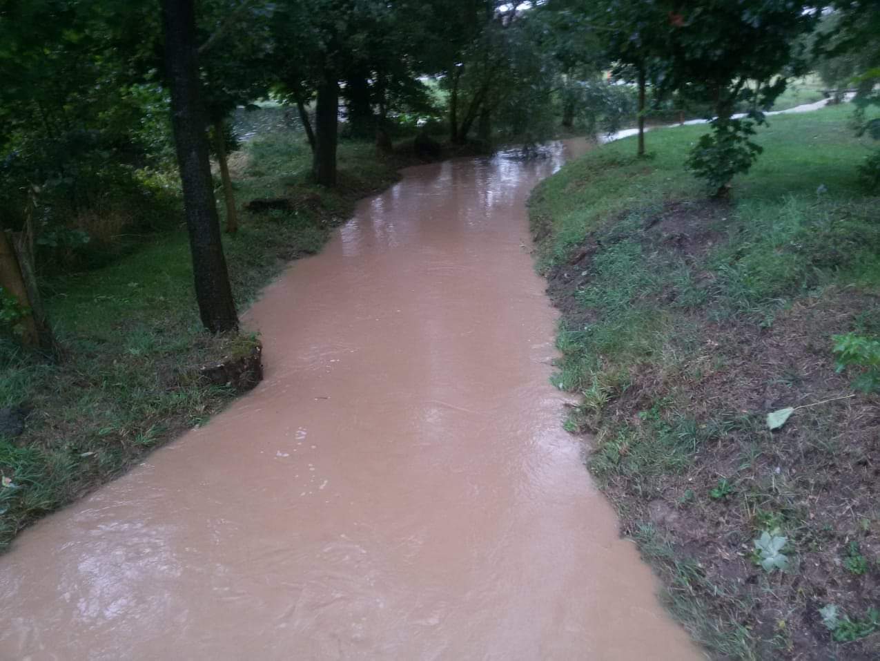 Polná