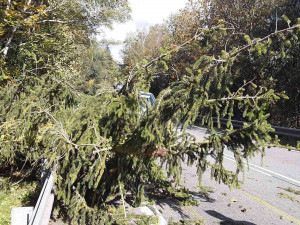 Silný vítr na Vysočině zaměstnal hasiče