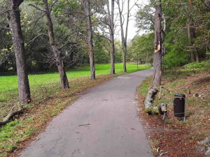 Silný vítr na Vysočině zaměstnal hasiče