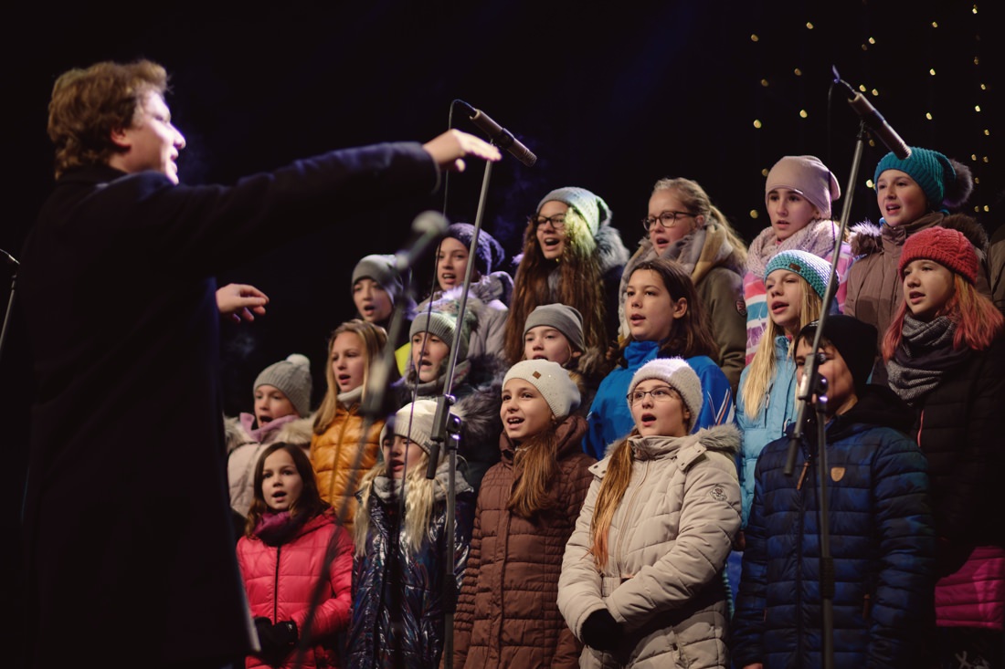 Bosch svařák 2019