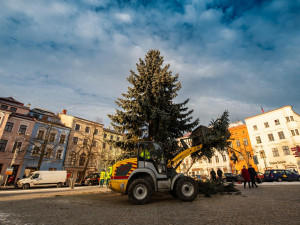 Z Masarykova náměstí mizí vánoční stromeček