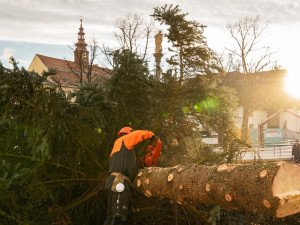 Z Masarykova náměstí mizí vánoční stromeček
