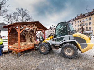 Z Masarykova náměstí mizí vánoční stromeček