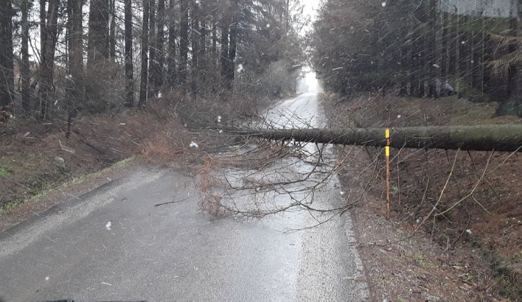 Vysočinu trápí silný vítr