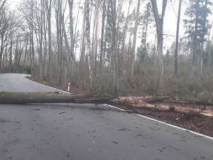 Vysočinu trápí silný vítr